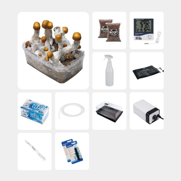 GB Complete Mycological Study Kit B+