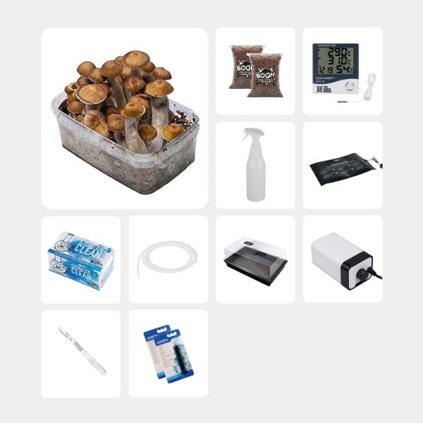 GB Complete Mycological Study Kit Mazatapec