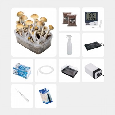 GB Complete Mycological Study Kit Thai