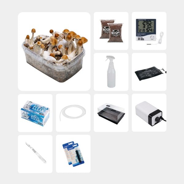 GB Complete Mycological Study Kit Amazonian