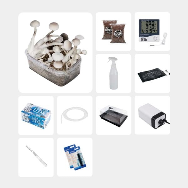 GB Complete Mycological Study Kit Treasure Coast Albino