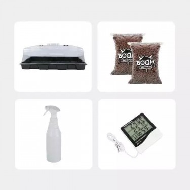 Economical Magic Mushroom Grow Kit