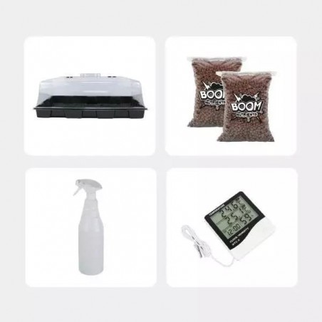 Economical Magic Mushroom Grow Kit