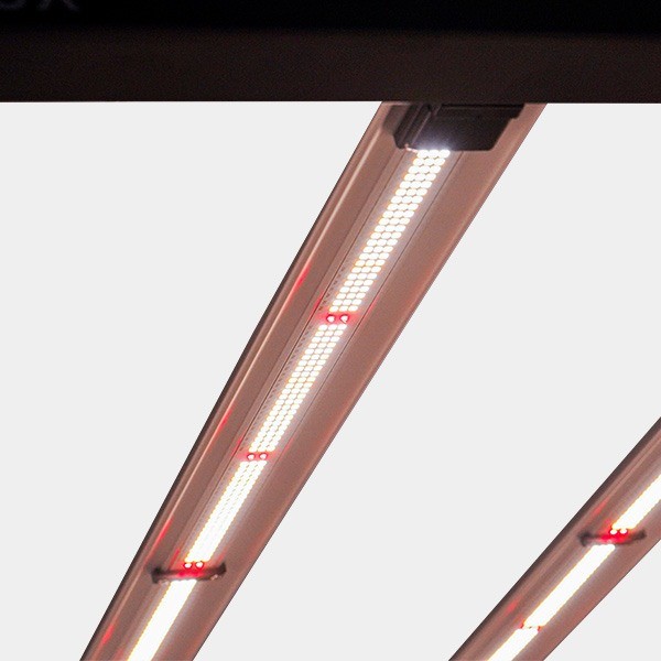 Galaxy Solux LED System for Indoors - GB