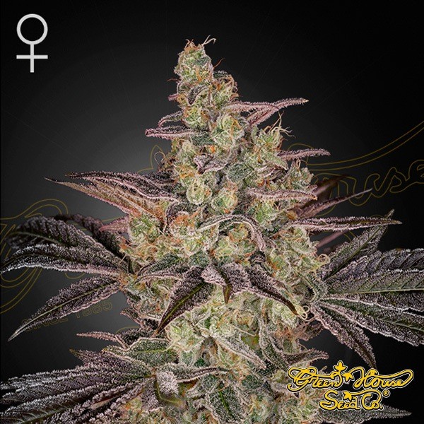 View Frosted Guava Auto