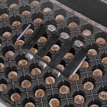 Propagator and Tray Kits for Clones - GB
