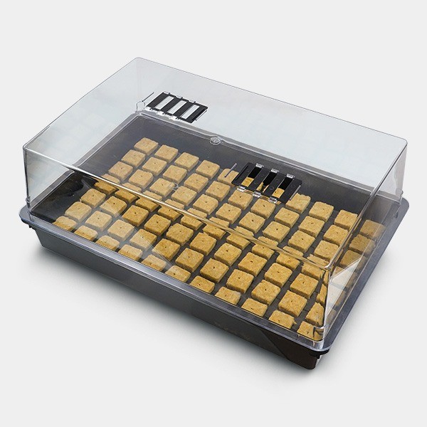 Propagator Kit + 77-cell rockwool tray