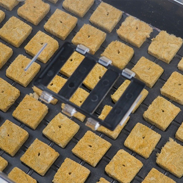 Propagator Kit + 77-cell rockwool tray