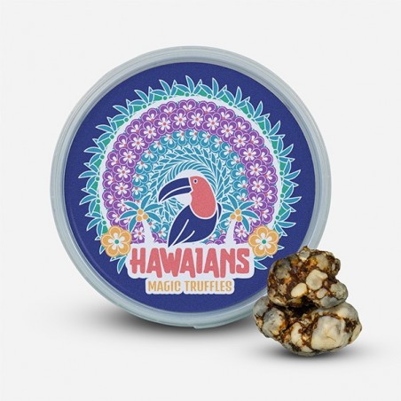 High Hawaiians 🌸 Truffles with Higher Psilocybin Content