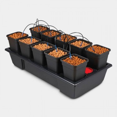 Wilma Small Wide 10 complete 6.5L