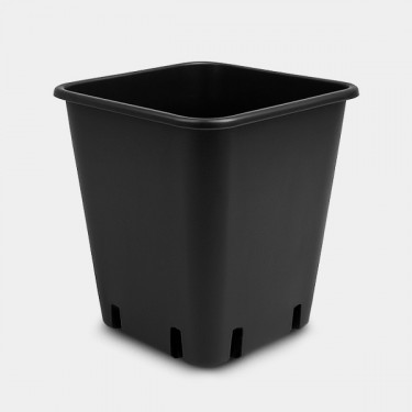 Wilma pots