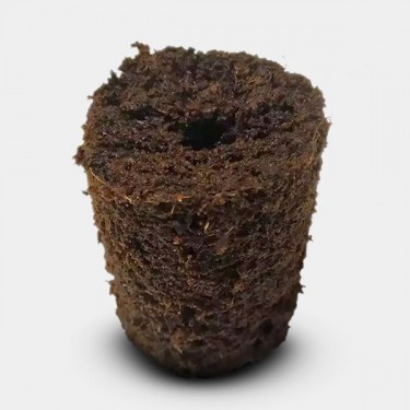 Pro Xtract 104 Plug Seed & Clone Tray - GB