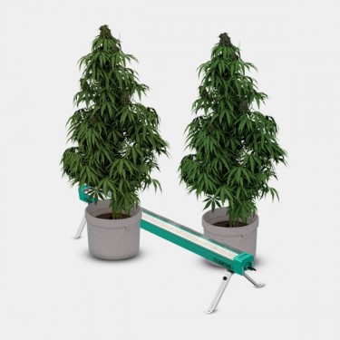 GB Lighting Under Canopy 120W PRO LED - Growbarato