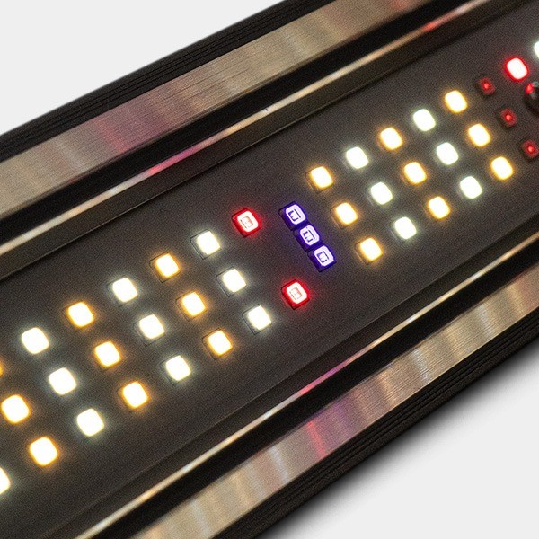 GB Lighting 800W PRO MAX Dimmable LED System LEDs on