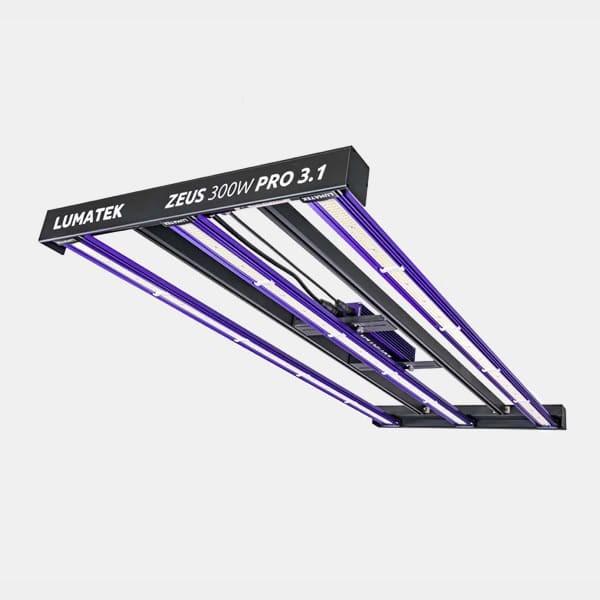 View Lumatek Zeus 300W Pro 3.1 LED