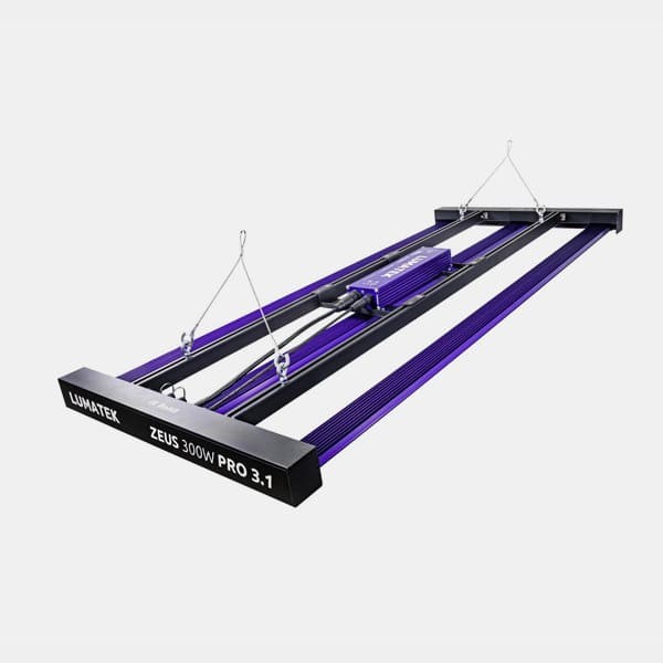 Lumatek Zeus 300W Pro 3.1 LED