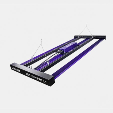 Lumatek Zeus 300W Pro 3.1 LED