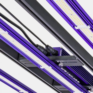 Lumatek Zeus 300W Pro 3.1 LED