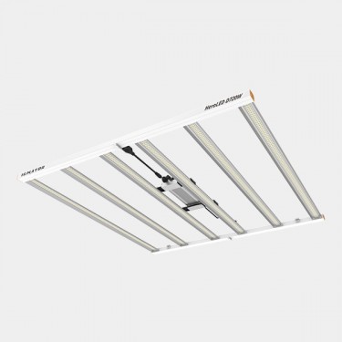 Ignator Hero D720W LED System 💡 - GB The Green Brand