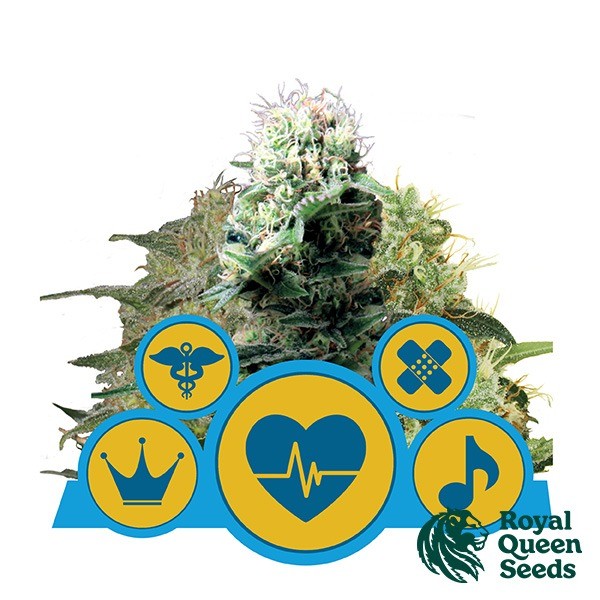 View CBD Mix by Royal Queen Seeds - GB