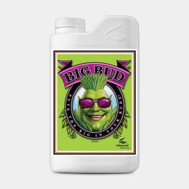 Big Bud by Advanced Nutrients