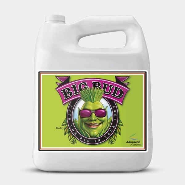 Big Bud Advanced Nutrients large format
