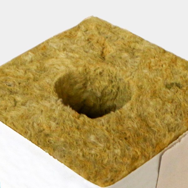 Rockwool Plugs for Seeds & Cuttings - GB