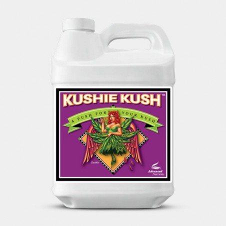 Kushie Kush large size