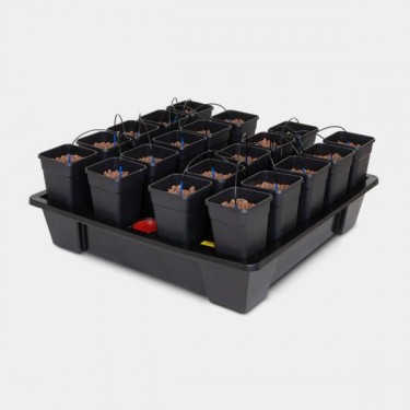 Wilma XXL 20 complete 6L by Atami - GB