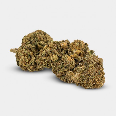 Outdoor GB CBD Blue Cheese Flowers - GB The Green Brand