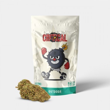 Outdoor GB CBD Critical + Flowers - GB The Green Brand