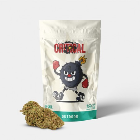 Outdoor GB CBD Critical + Flowers - GB The Green Brand