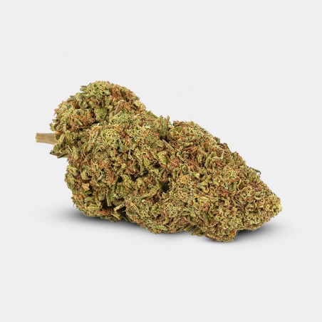 Outdoor GB CBD Critical + Flowers - GB The Green Brand