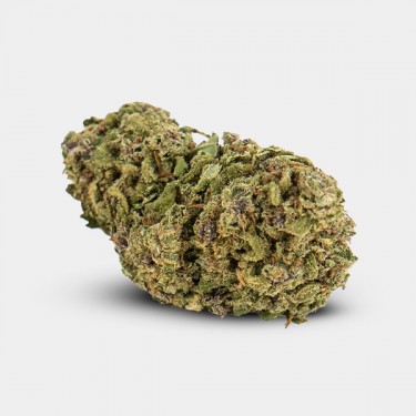 Indoor GB CBD 'Miracle Alien Cookies' Flowers bud