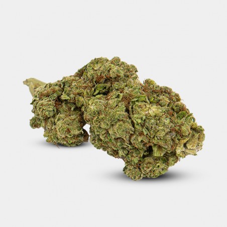 Indoor GB CBD 'Strawberry Cake' Flowers - GB The Green Brand