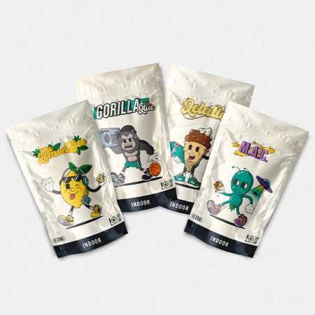 Indoor Sommelier GB CBD Flowers Kit - GB The Green Brand