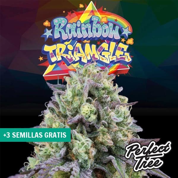 View Rainbow Triangle by Perfect Tree 🌈- GB The Green Brand