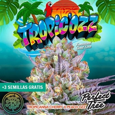 Tropic’Ozz by Perfect Tree 🥭🍍 - GB The Green Brand