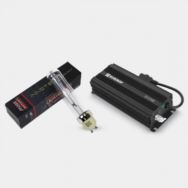 Innotech LEC Adjustable Lighting Kit