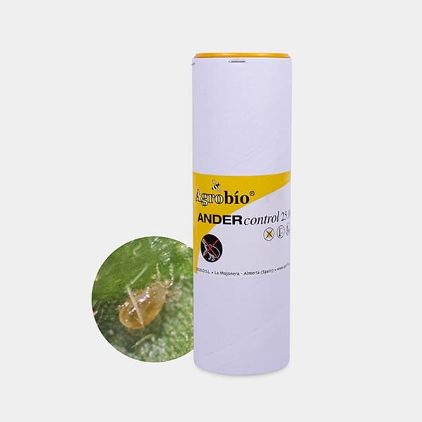 View Ander Control Red Spider Mite 🕷️ ▷ Protect your crop | Growbarato