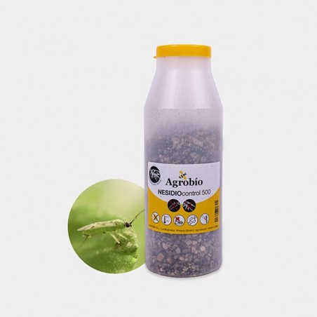 Nesidio Control for Whitefly ➤ Predatory bug| GB