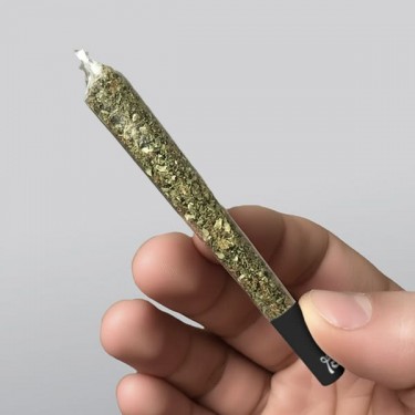 1.1/4 See-through paper - Grow Barato