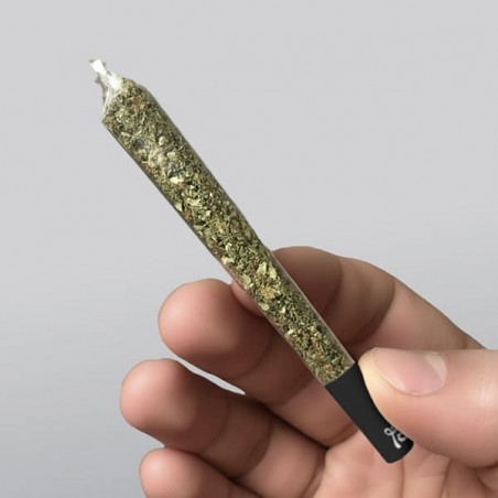 Transparent King Sized Papers 40pcs - GB