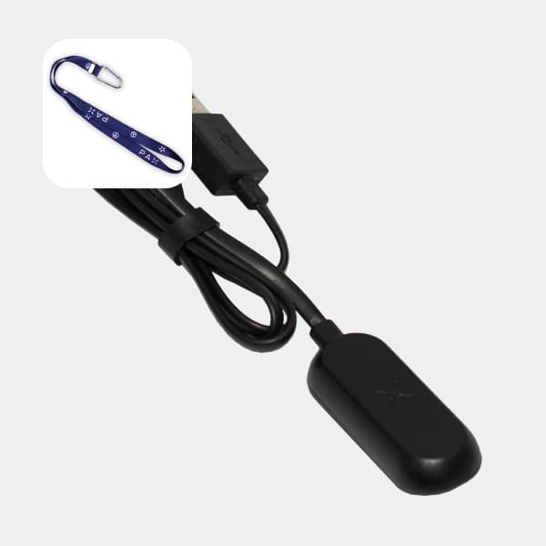 View PAX Mini Portable Charger by PAX Labs - GB