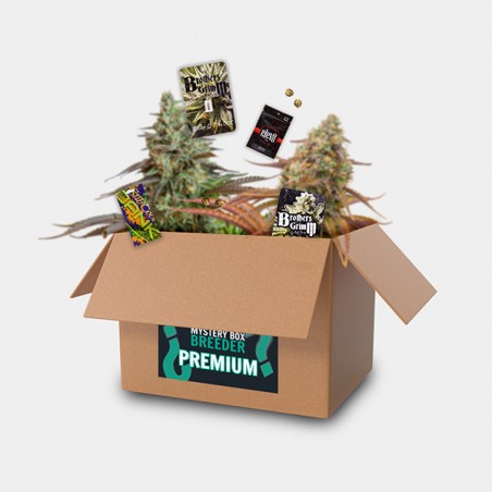 Premium Breeder Box