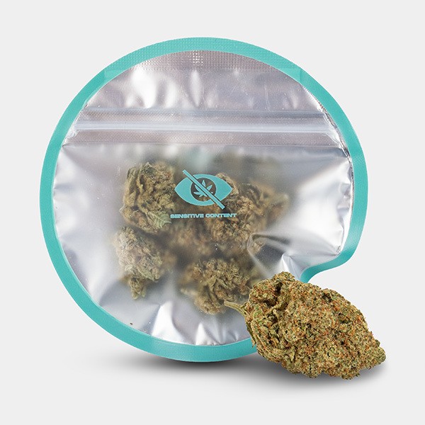 View 'Amnesia Haze' KEMA CBD Flowers  🌸🌺- GB The Green Brand