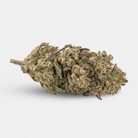 'Plutonium' KEMA CBD Flowers 💥☄️- GB The Green Brand