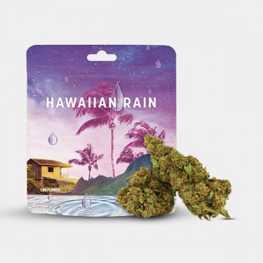 Cookies ‘Hawaiian Rain’ CBD Flowers bud