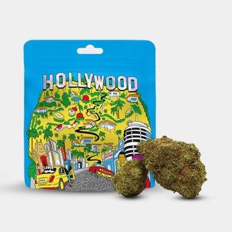 Cookies 'Hollywood' CBD flowers