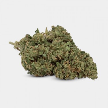 Outdoor GB CBD OG Kush Flowers - GB The Green Brand
